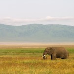 La Tanzania: un paese ricco di meraviglie