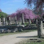 Katakolon: cosa vedere nell'antica Olimpia